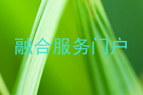 融合服务门户