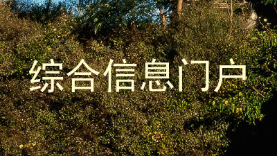 综合信息门户