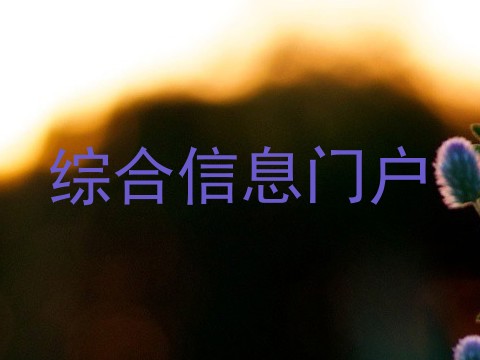 综合信息门户