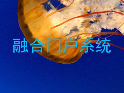融合门户系统