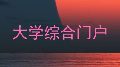 大学综合门户