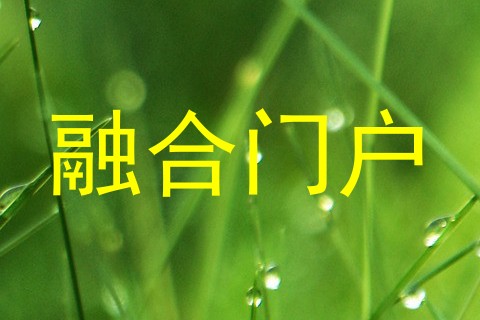 融合门户