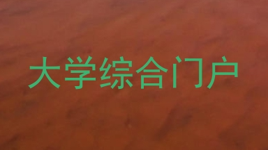 大学综合门户