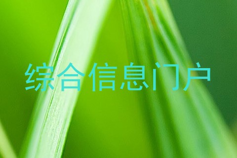 综合信息门户
