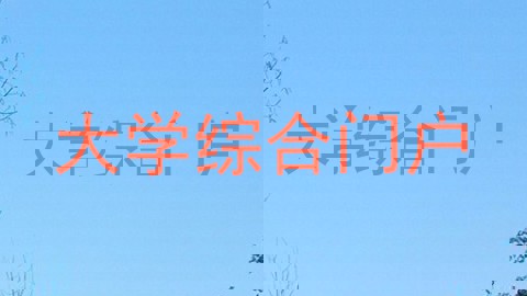 大学综合门户