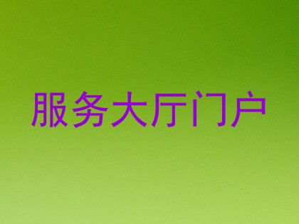 服务大厅门户