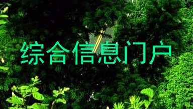 综合信息门户