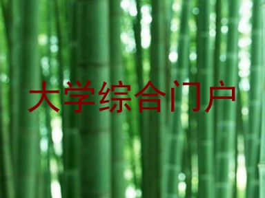 大学综合门户