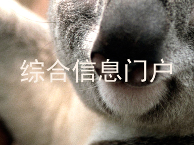 综合信息门户