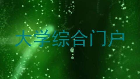 大学综合门户