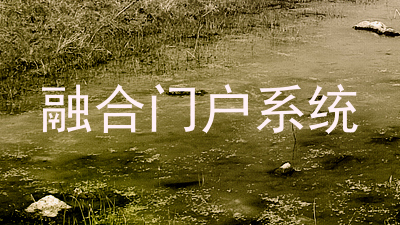融合门户系统