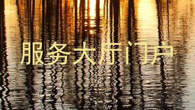 服务大厅门户