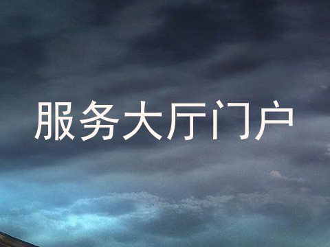 服务大厅门户