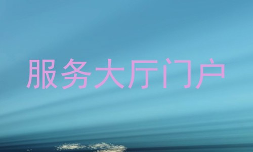 服务大厅门户