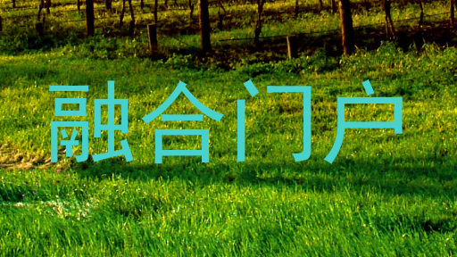 融合门户