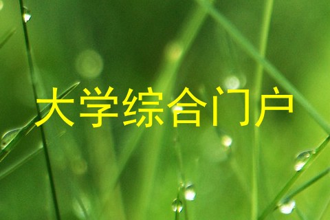 大学综合门户