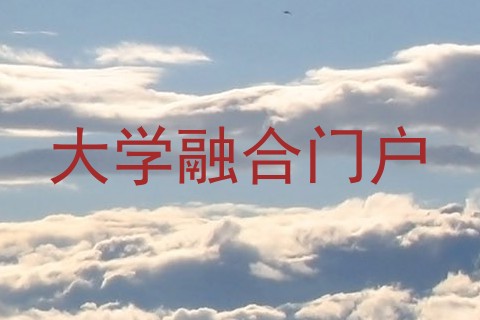 大学融合门户