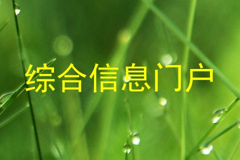 综合信息门户