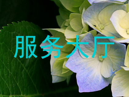服务大厅