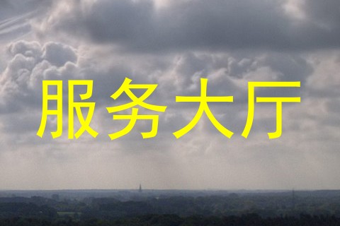 服务大厅