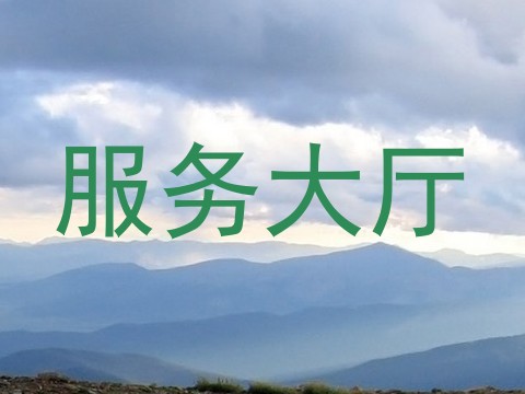 服务大厅