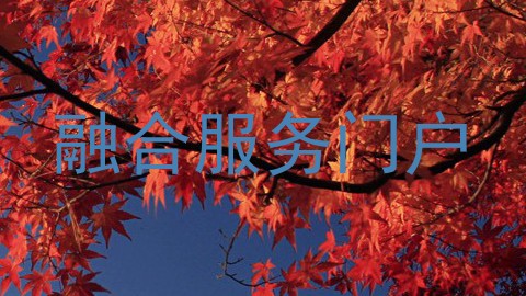 融合服务门户