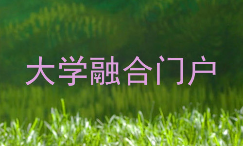 大学融合门户