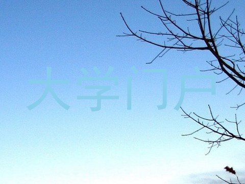 大学门户