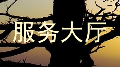 服务大厅