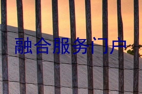 融合服务门户