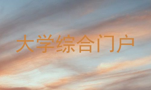 大学综合门户