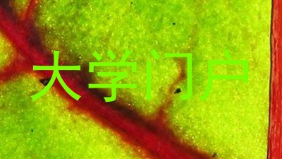 大学门户