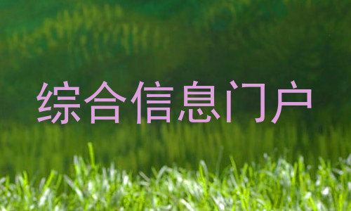 综合信息门户
