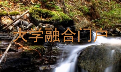 大学融合门户