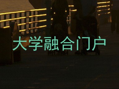大学融合门户