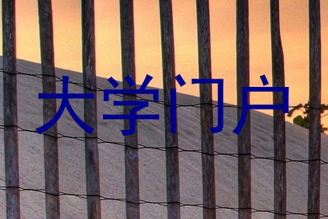 大学门户
