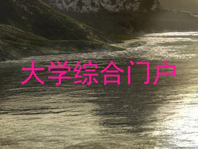 大学综合门户