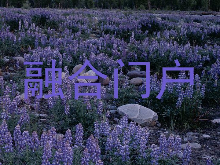 融合门户