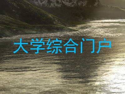 大学综合门户