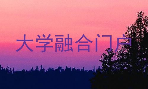 大学融合门户