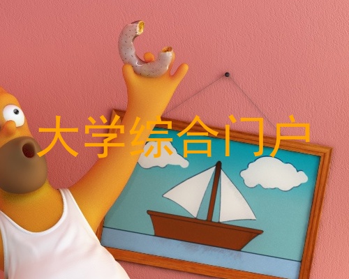 大学综合门户