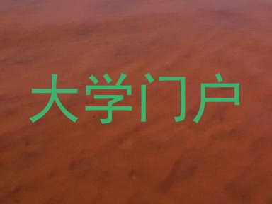 大学门户