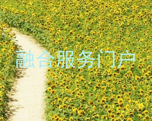 融合服务门户