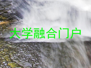 大学融合门户