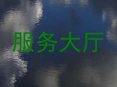 服务大厅