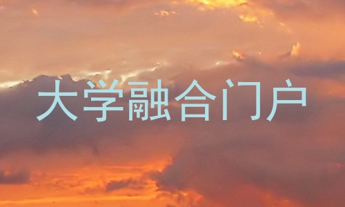 大学融合门户