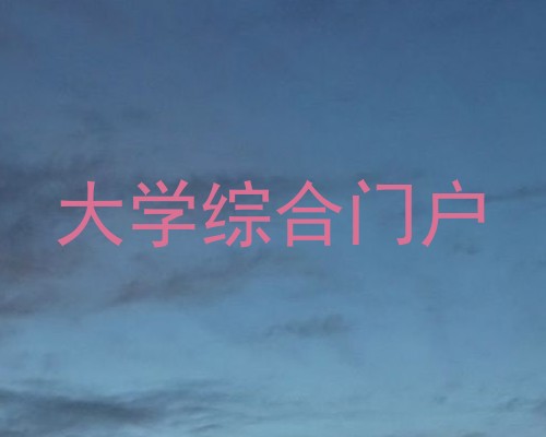 大学综合门户