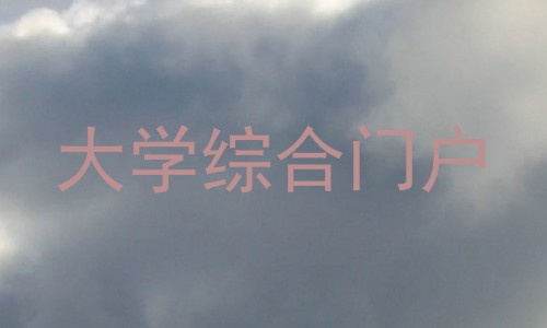 大学综合门户