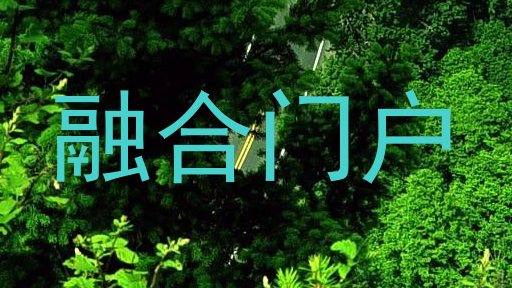 融合门户