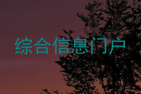 综合信息门户